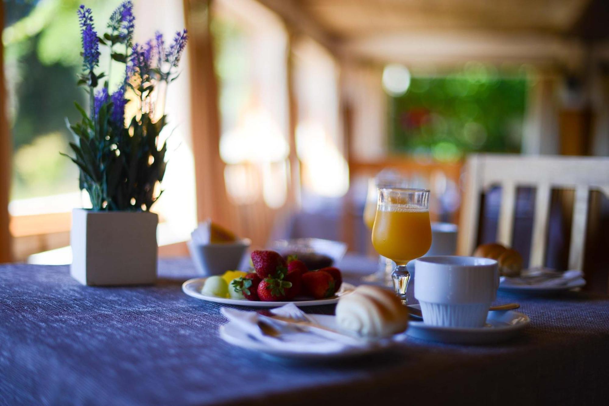 Hotel Y Cabanas El Parque Villarrica Eksteriør billede